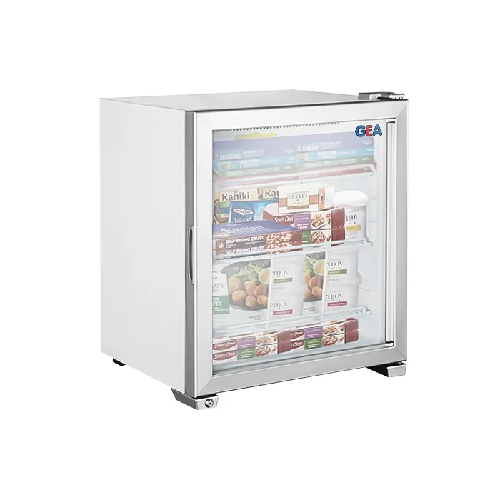 Freezer Berdiri Pintu Kaca GEA RTD-99C