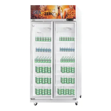 GEA Sub Zero Display Cooler EXPO-1050BC