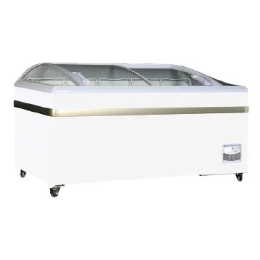 GEA Sliding Curved Glass Freezer SD-600BY