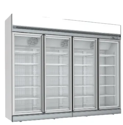 GEA Upright Glass Door Freezer FD-DF250